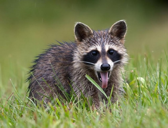 Прикольные и просто красивые картинки 04.04.2025