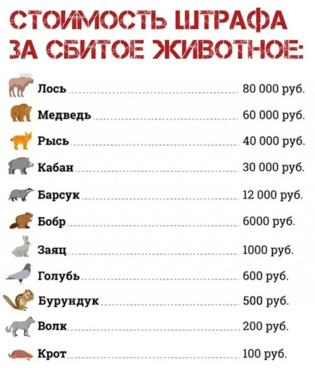 Заяц и Нива