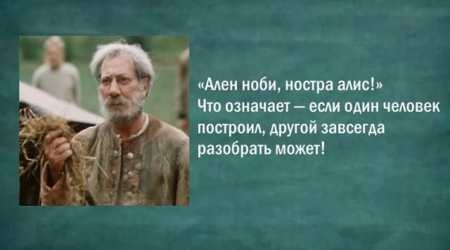 Разбор бобровых плотин на видео