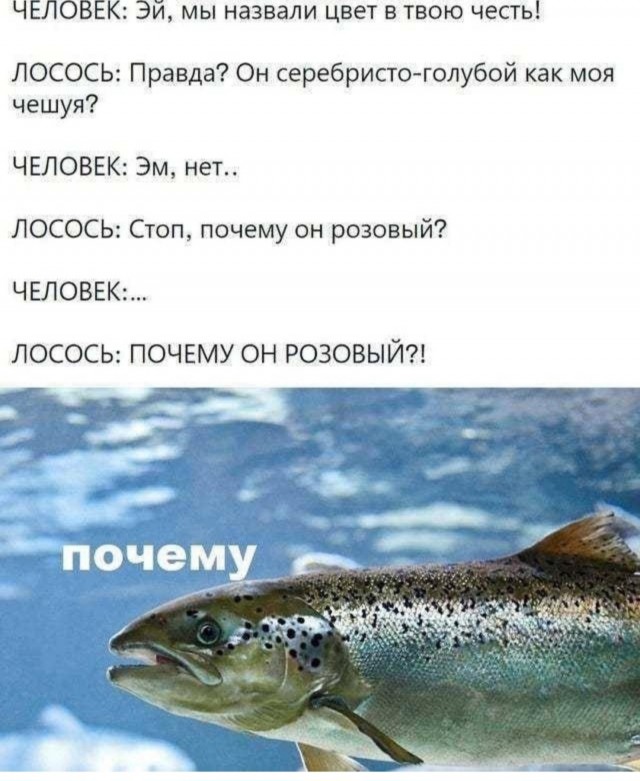 Маленькая пятница 7.05.25