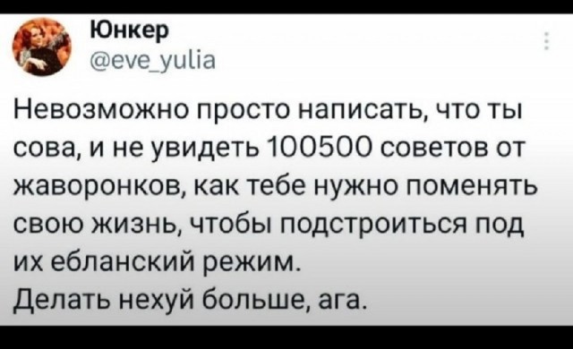 Так себе картинки 20.05.25