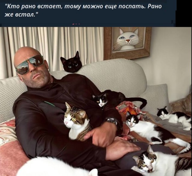 Стэтхэм молчать не будет