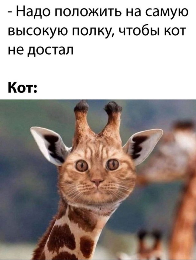 Так себе картинки 28.05.25