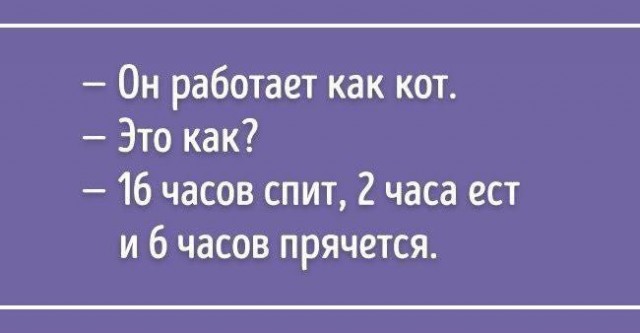 Веселые картинки в понедельник (02.06)