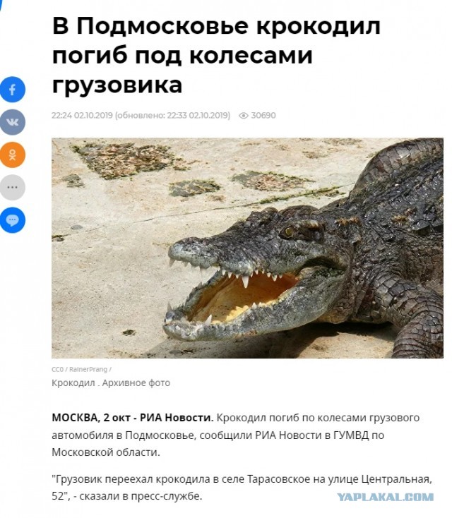 Девушку укусила кобра в парке Подмосковья — она заползла к ней в рюкзак.