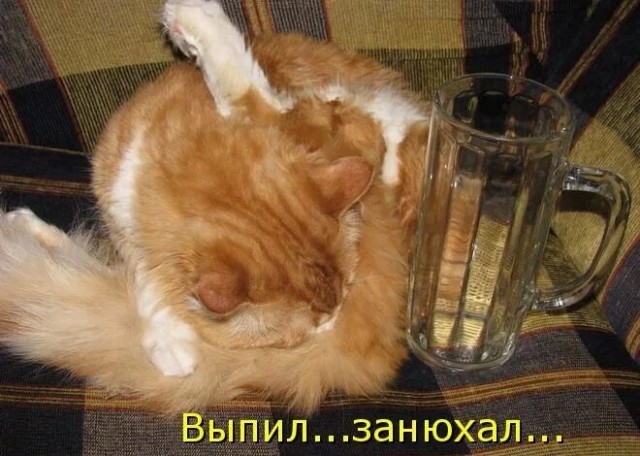 Две воды одна текила.