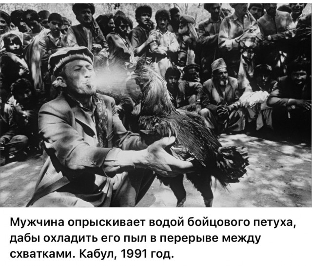 Интересные фотографии 1990 -х 16.09.25