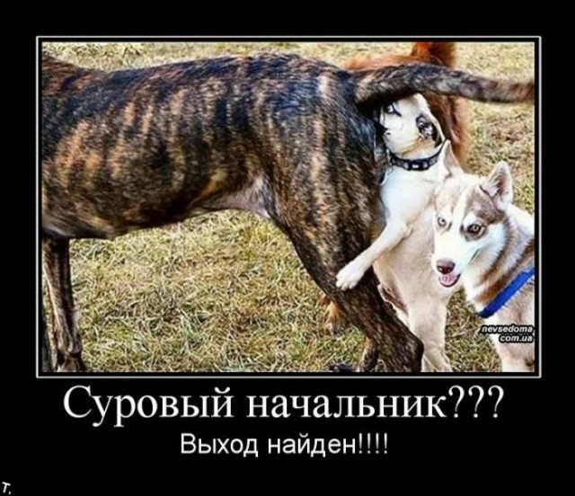 Лидер, посланный небесами