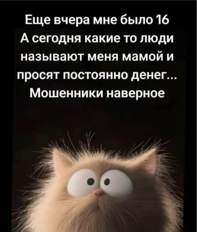 Воскресные картинки