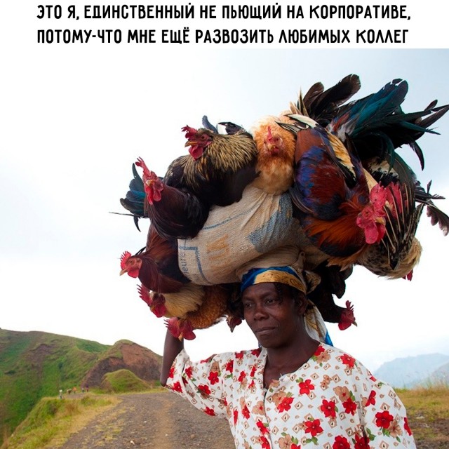 Картинки для деградации 117 (разной степени свежести)