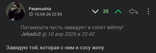 Сибирский кот Плюх