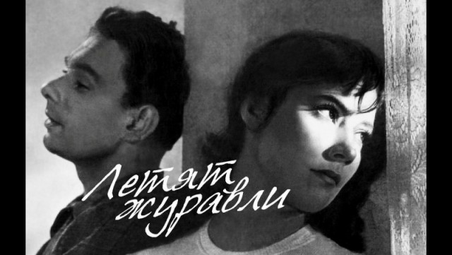 Жители Подмосковья массово сообщают о попадании в «коттеджное рабство»