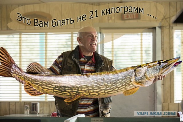 Ipad mini за лучшую фотожабу для фильма РЭД 2