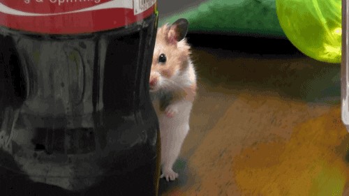 Можно тёте на качелях покачаться?
