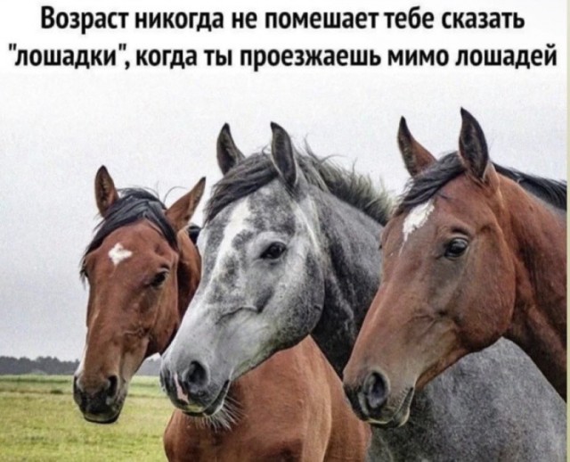 Так себе картинки 29.07.26