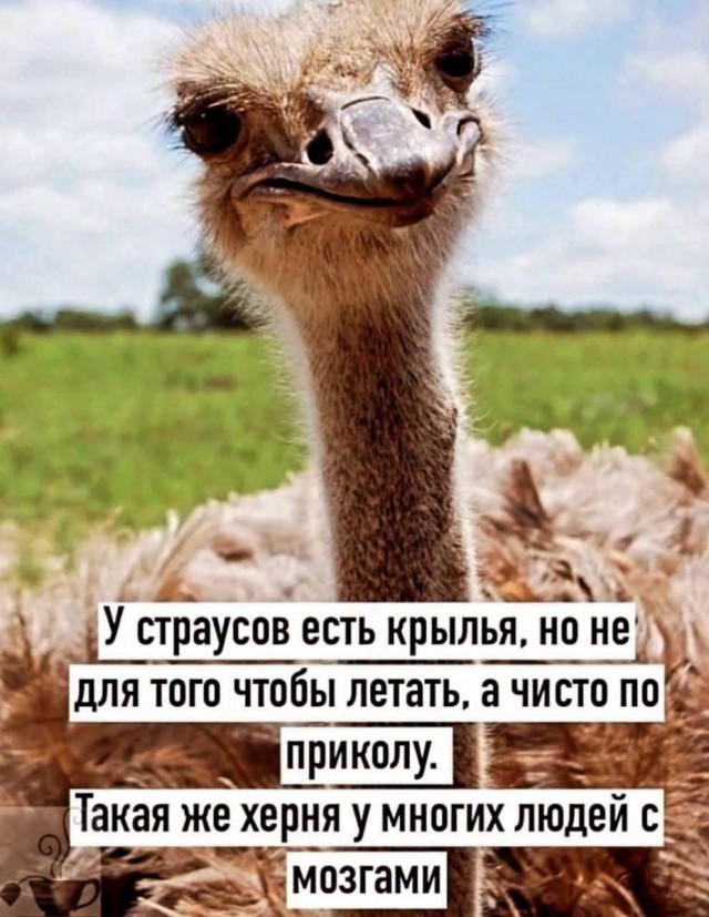 Забавные картинки, шутки из этих ваших интернетов