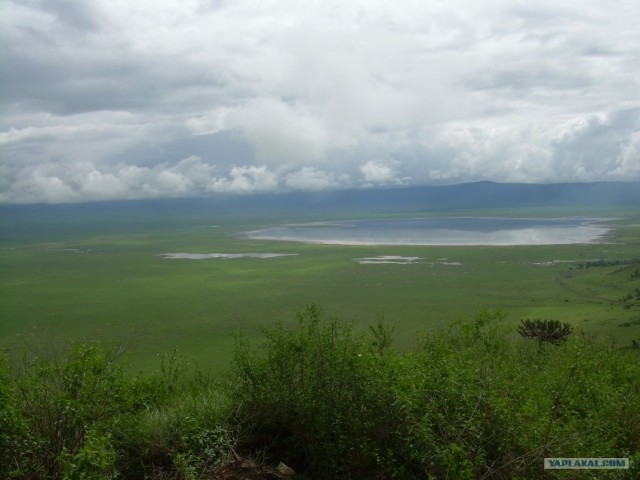 Сафари в Нгоронгоро