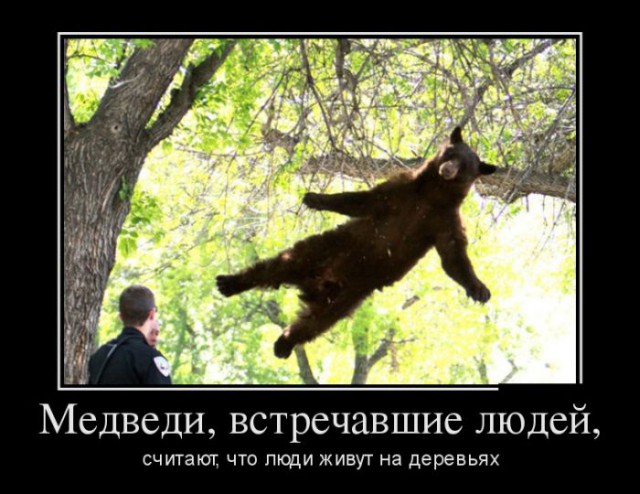 Демотиваторов пост, добавляйте свои