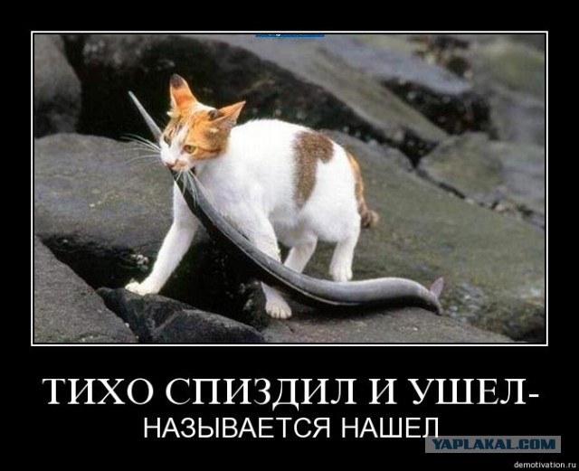 Как я вора обворовал