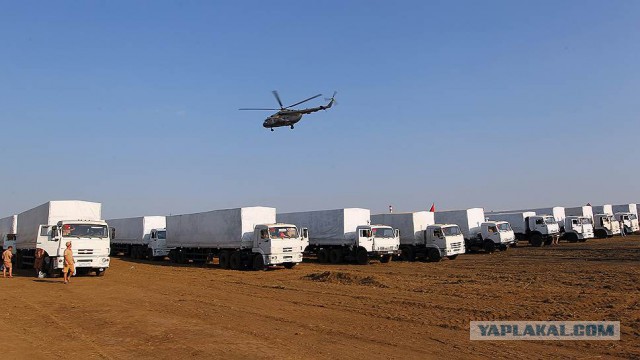 Полгода войны в Украине
