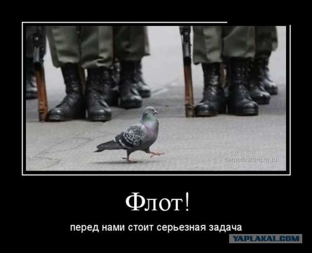Просто картинки