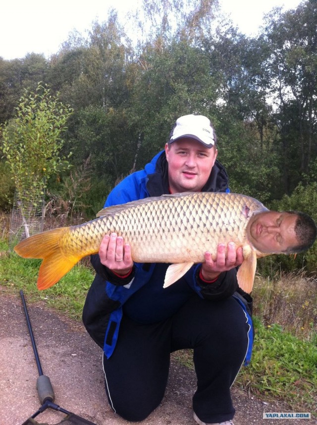 Иди, рыбачь