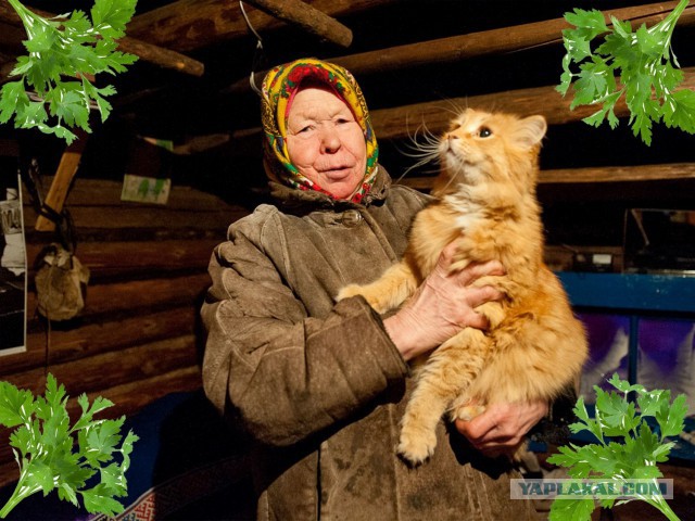 Когда кто-то плюсует твой заминусованый пост