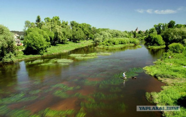 Парк страдаловка балабаново. Река протва боровск. Пруд страдаловка балабаново. Озеро страдаловка в балабаново. Река страдаловка балабаново.