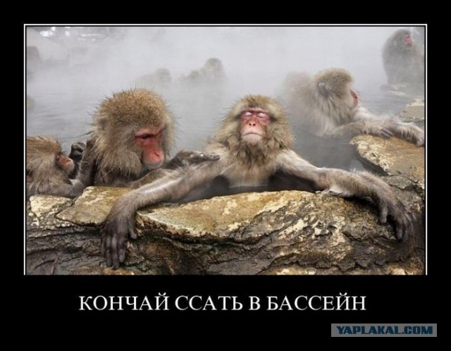 Подборка демотиваторов на пятницу