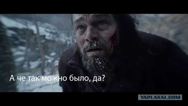 Медведь играет с человеком, центр по уходу за животными
