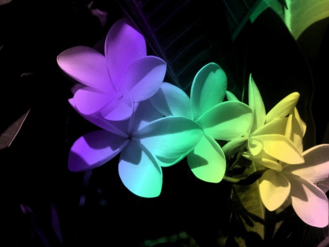 Подборка красивых фото