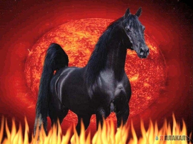 Лошадки