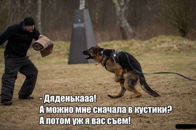 Подборка интересных и красивых фото
