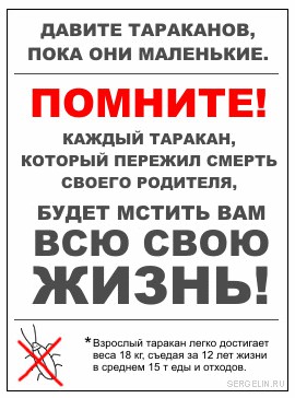 Расследование крушения Boeing MH17 подтвердило вину ВС Украины в трагедии