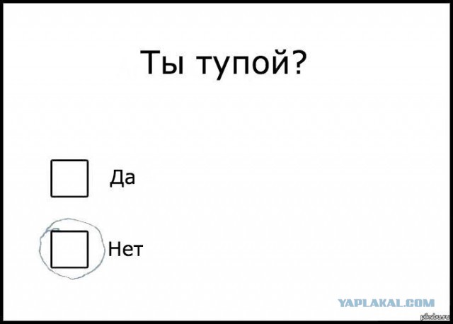 Выборы глазами наблюдателя