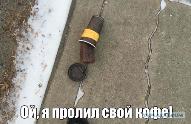 Подборка интересных и веселых картинок