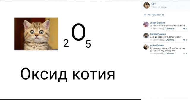 Ужасы и приколы из соцсетей 18+