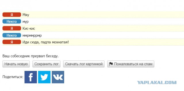 Подборка интересных и веселых картинок