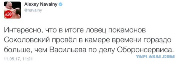 Суд признал виновным блогера Руслана Соколовского