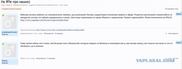 В России возник острый дефицит видеокарт. Причина – рост популярности «добычи» криптовалюты