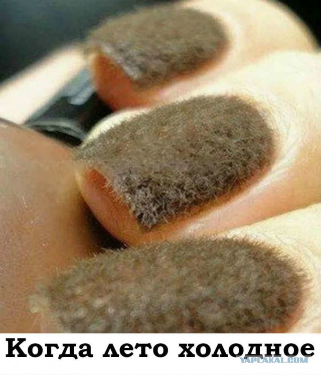 Соцсети - и смех и грех