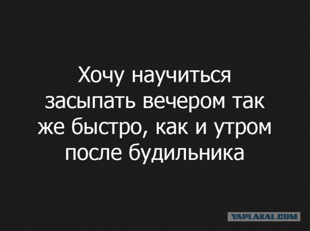 Скотсети и прочие интернеты