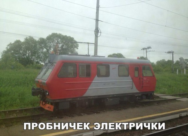 Тупик эволюции