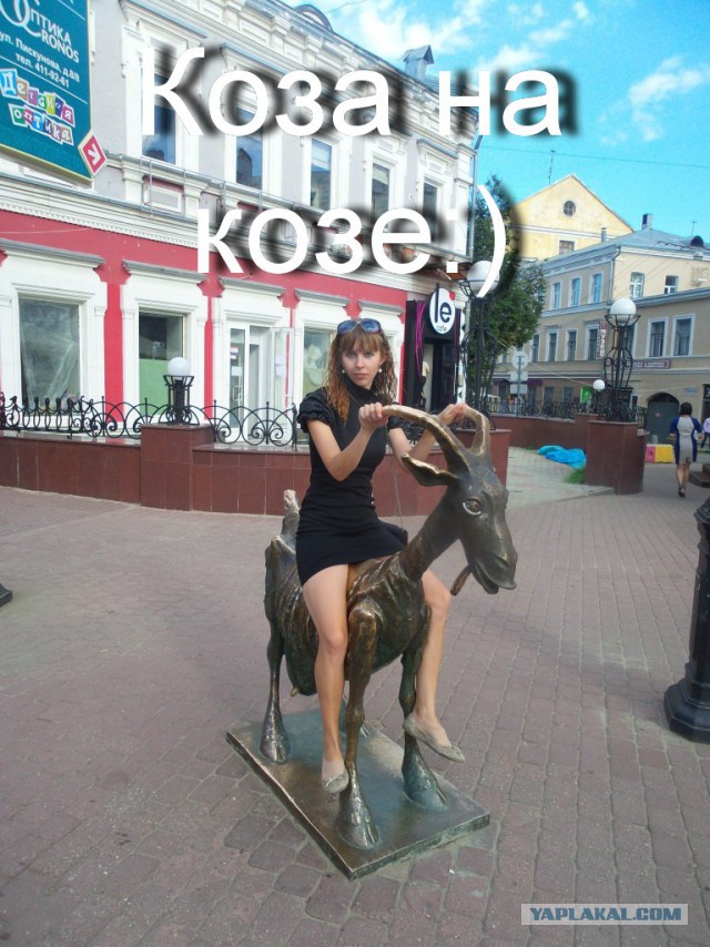 Скотсети и прочие интернеты 04.06.18