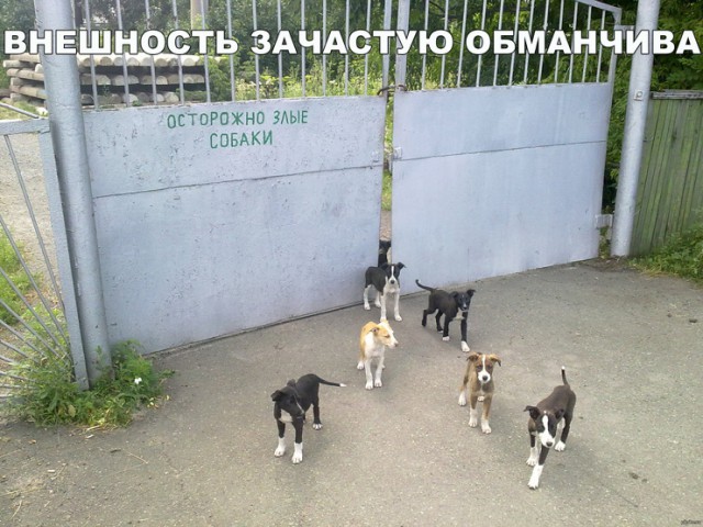 25 картинок на этот вечер