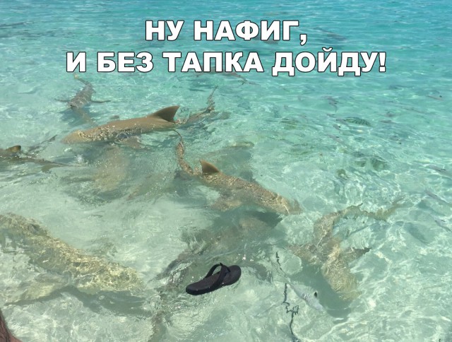 Прикольные картинки абавсём