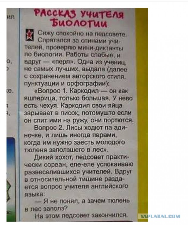 Нестандартный юмор