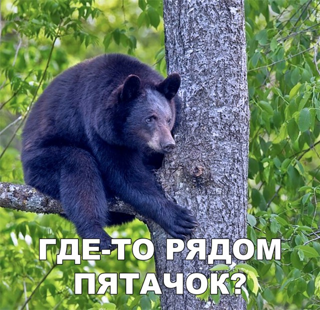 Нестандартный юмор