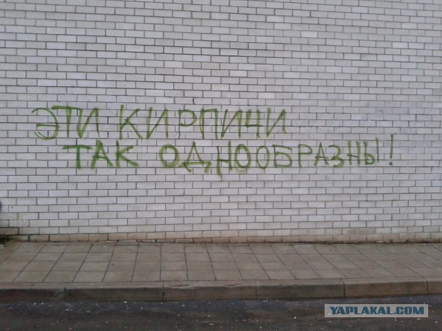 «Бродячие» философы: 17 глубокомысленных заметок в транспорте и на улицах