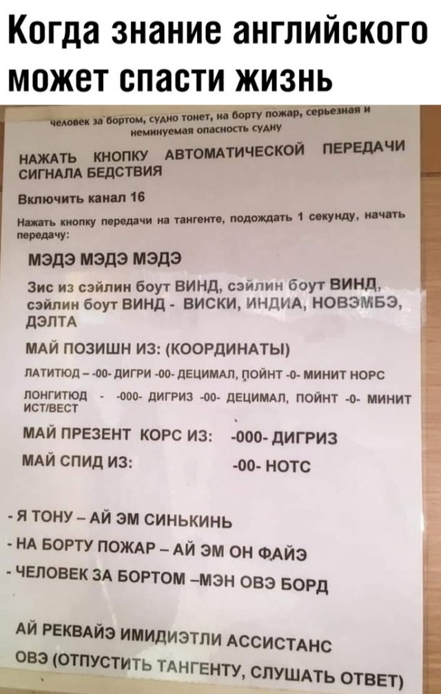 Картинки с надписями, истории и анекдоты